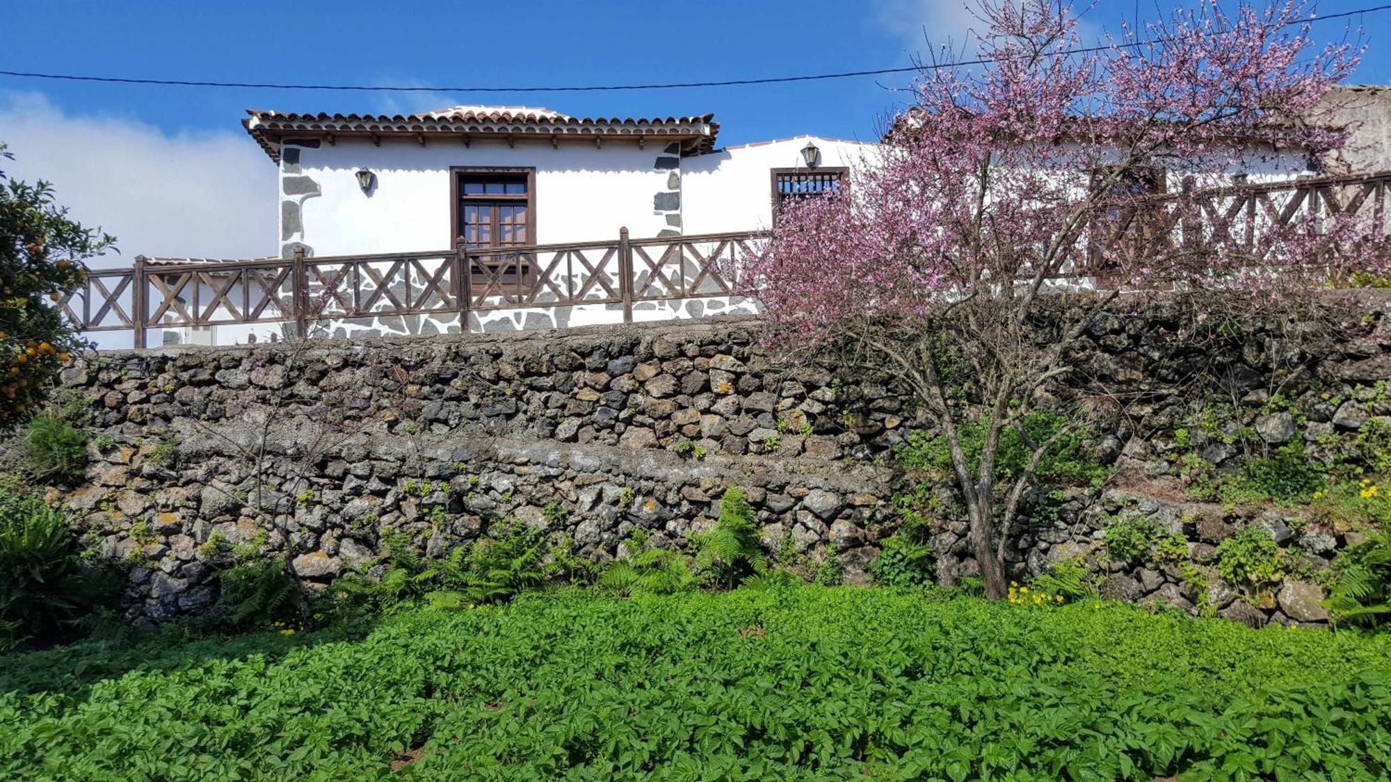 Casa Rural Monte Del Agua Los Silos Exterior foto